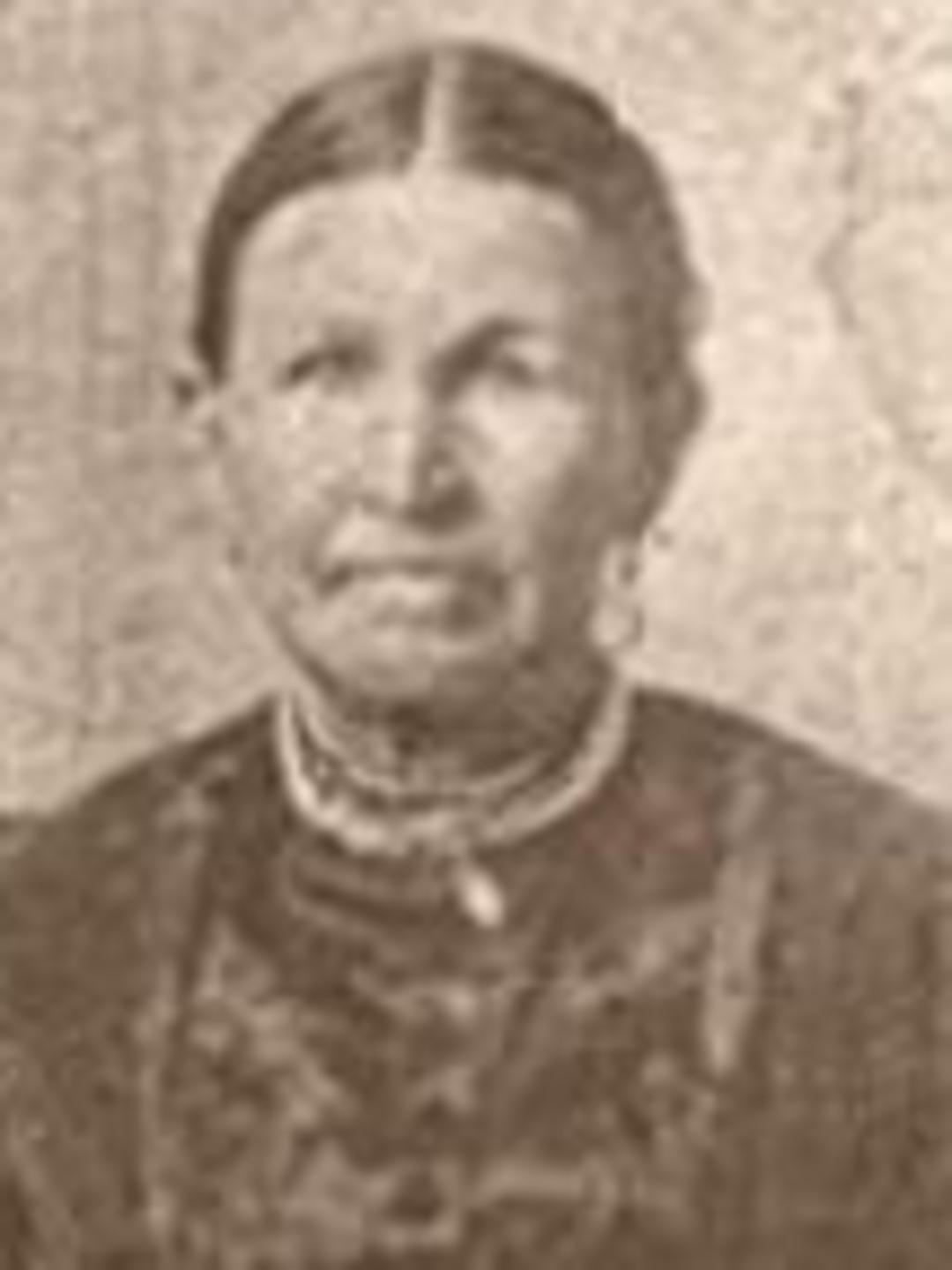 Sarah Ann Mathews (1833 - 1898) Profile